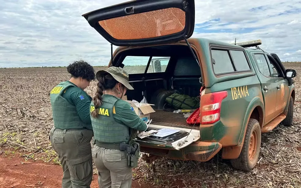 Fazendeiros são multados em R$ 890 mil por plantio de milho transgênico no entorno do Parque Nacional das Emas