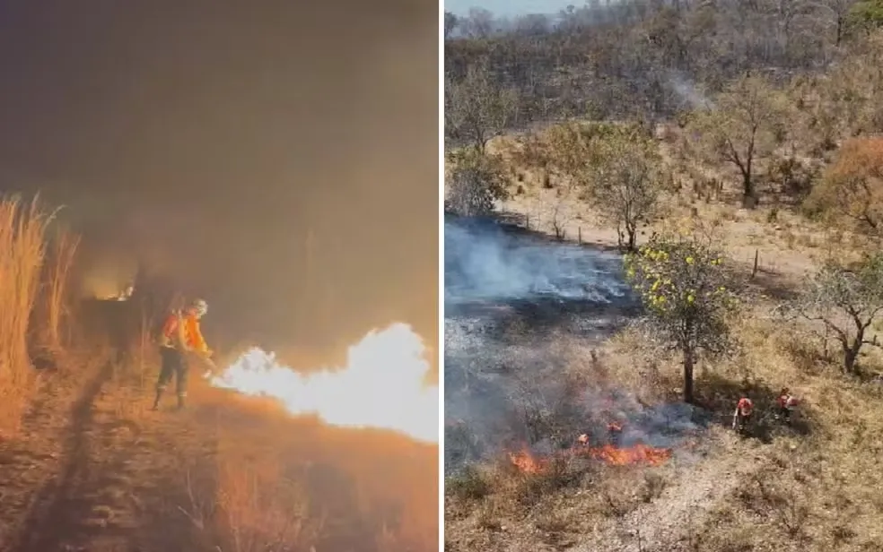 Incêndio de grandes proporções destrói vegetação perto do Parque Estadual da Serra Dourada