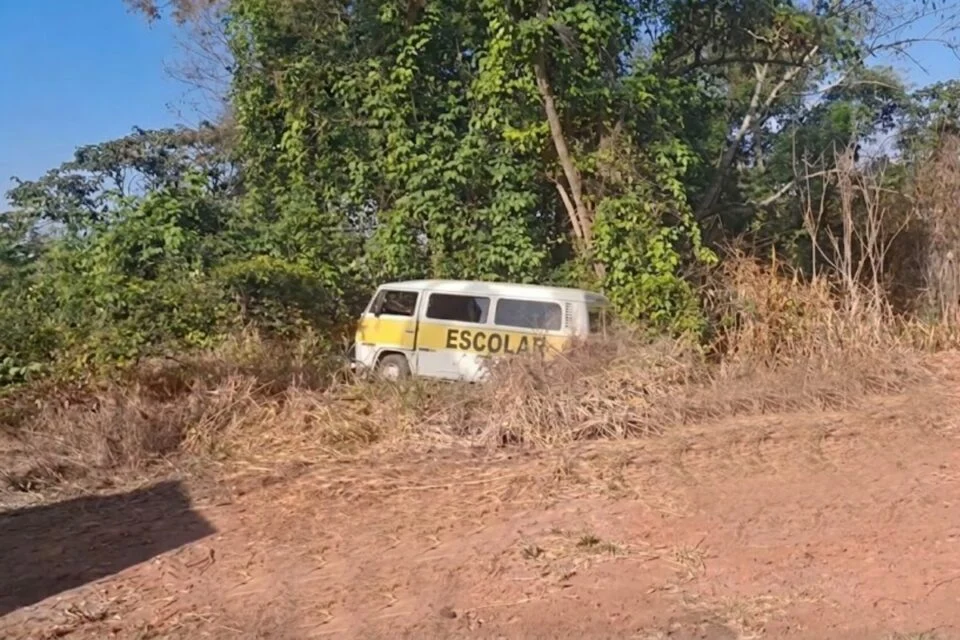 Kombi com seis crianças bate em árvore após motorista passar mal, em Varjão (Foto: Reprodução)