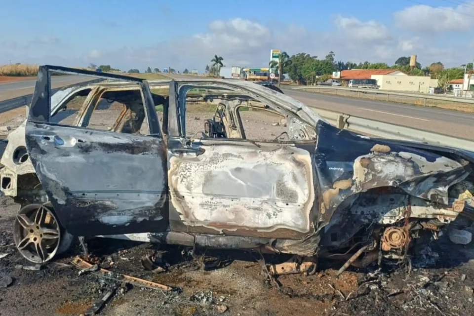 Veículo ficou carbonizado após o acidente na BR-050, em Ipameri (Foto: PRF)
