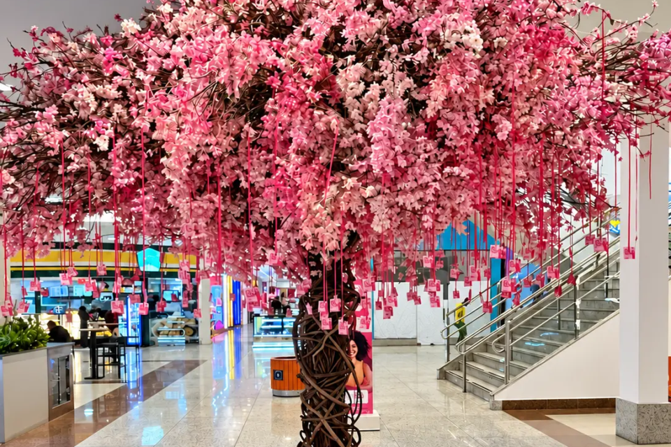 Árvore rosa no Araguaia Shopping, em Goiânia, oferece mensagens de autocuidado