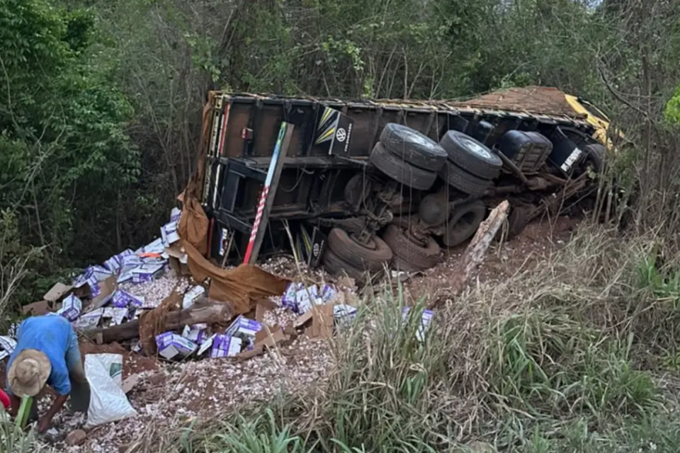 Caminhão carregado de alho bate em ponte, cai em ribanceira e espalha carga na GO-020, em Bela Vista de Goiás
