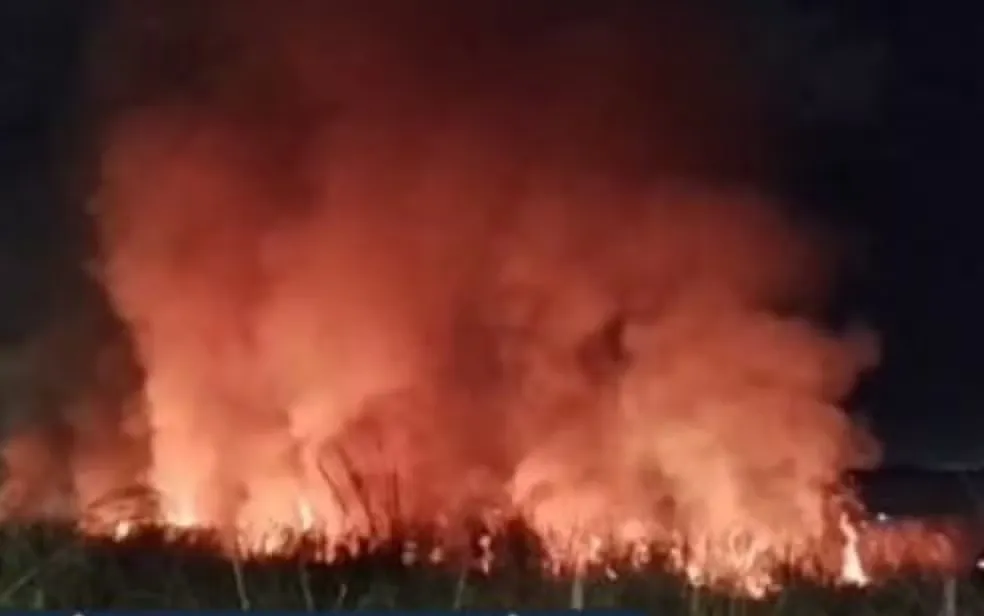 Atingiu uma área de vegetação no Setor Goiânia 2, na região norte da capital, na noite de terça-feira (22). — Foto: Reprodução/TV Anhanguera